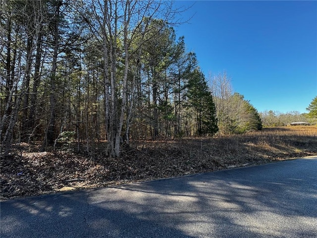 TR4 Corner Rd, Belton, SC 29627 - photo 3