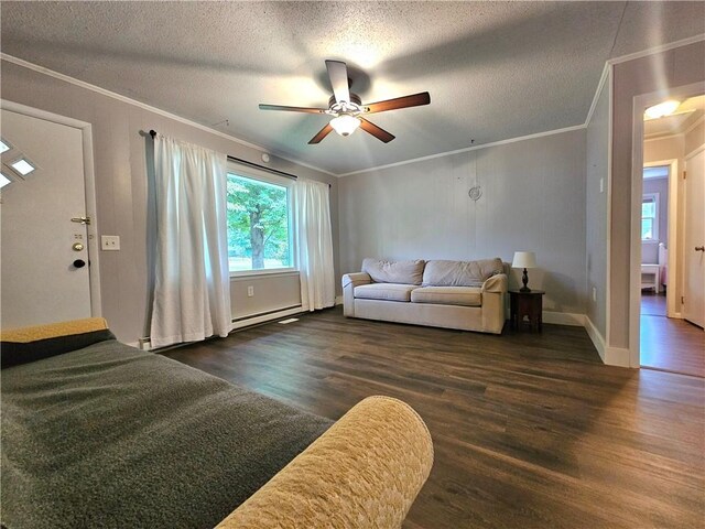 201 Augusta St, Westminster, SC 29693 - photo 5