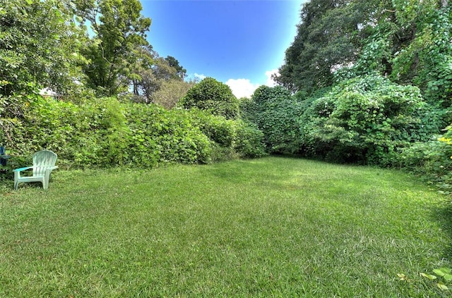 412 N Spring St, Walhalla, SC 29691 - photo 31