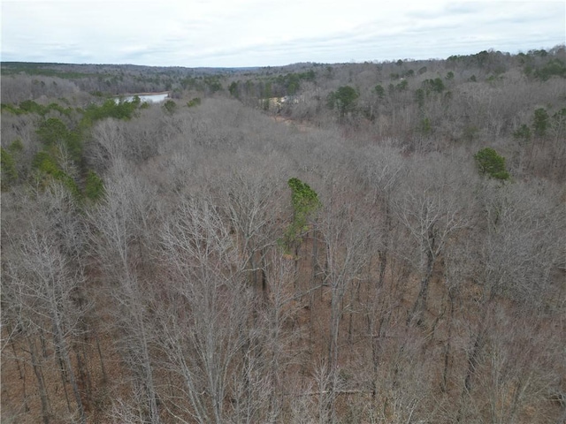 0 Mikes Trl, Seneca, SC 29678 - photo 3