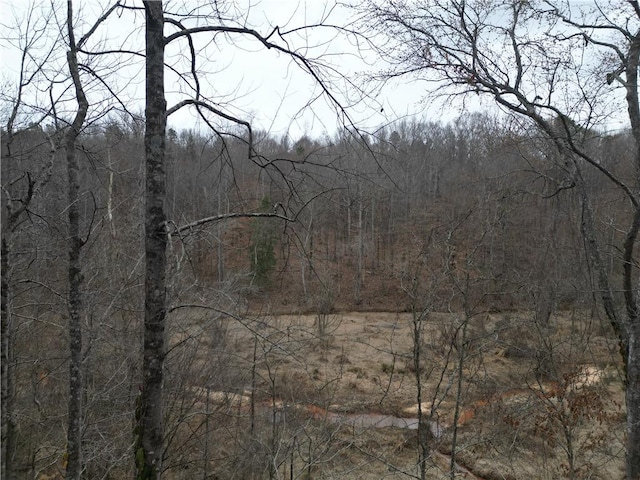 0 Mikes Trl, Seneca, SC 29678 - photo 5