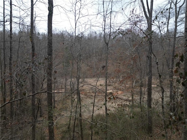 0 Mikes Trl, Seneca, SC 29678 - photo 6