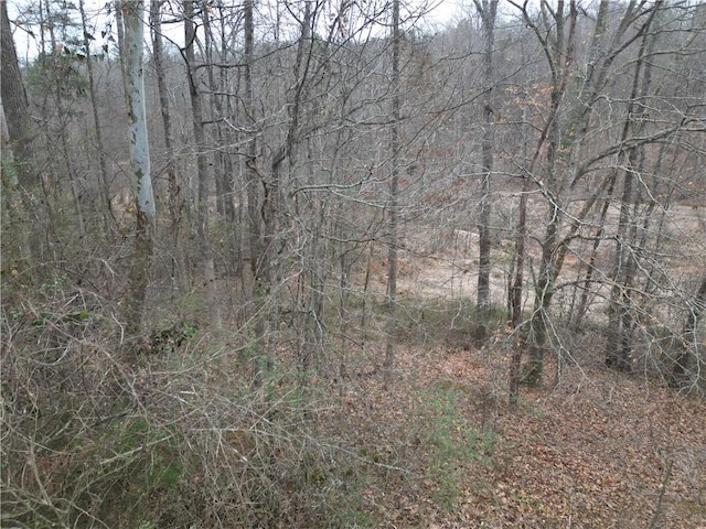 0 Mikes Trl, Seneca, SC 29678 - photo 8