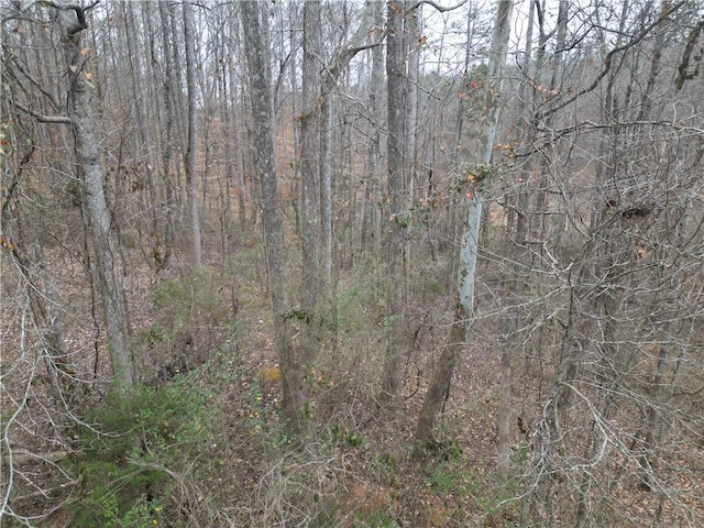 0 Mikes Trl, Seneca, SC 29678 - photo 9