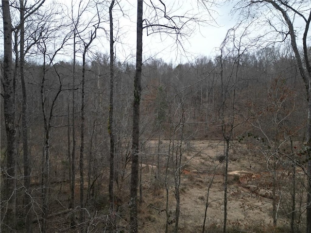 0 Mikes Trl, Seneca, SC 29678 - photo 11