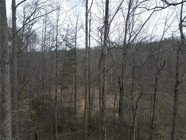 0 Mikes Trl, Seneca, SC 29678 - photo 12