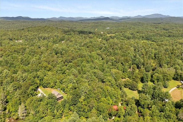 237 Hickory Rdg, Mountain Rest, SC 29664 - photo 35