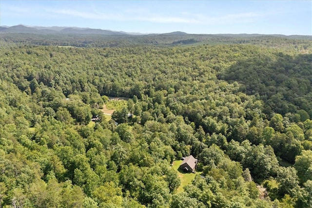 237 Hickory Rdg, Mountain Rest, SC 29664 - photo 36