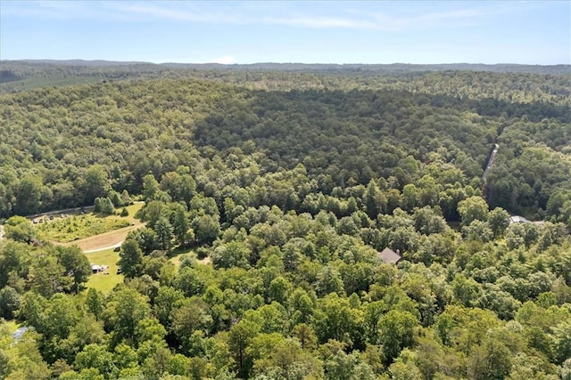 237 Hickory Rdg, Mountain Rest, SC 29664 - photo 37