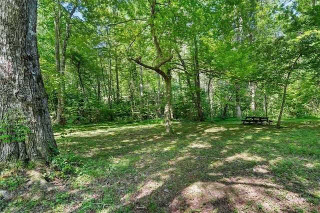 237 Hickory Rdg, Mountain Rest, SC 29664 - photo 18
