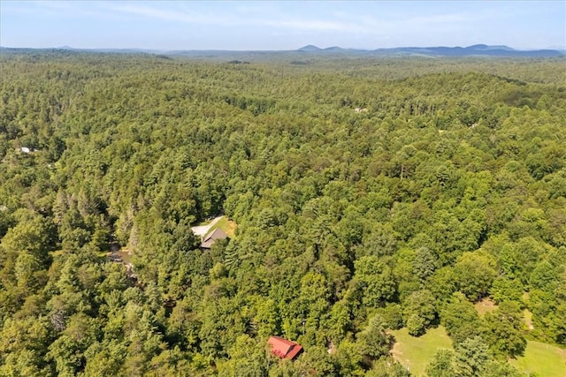 237 Hickory Rdg, Mountain Rest, SC 29664 - photo 34