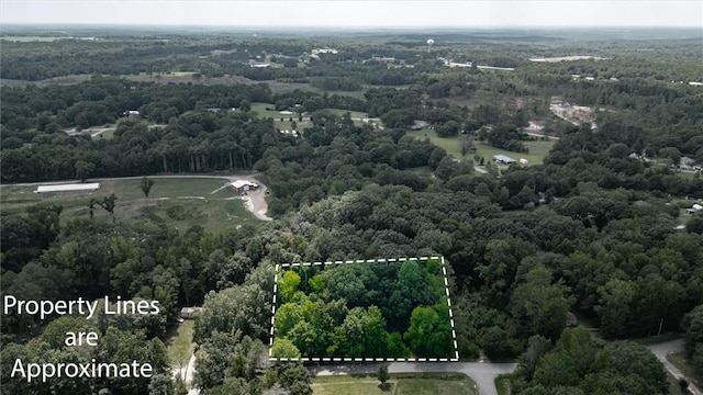 100 Green Valley Rd, Starr, SC 29684 - photo 6
