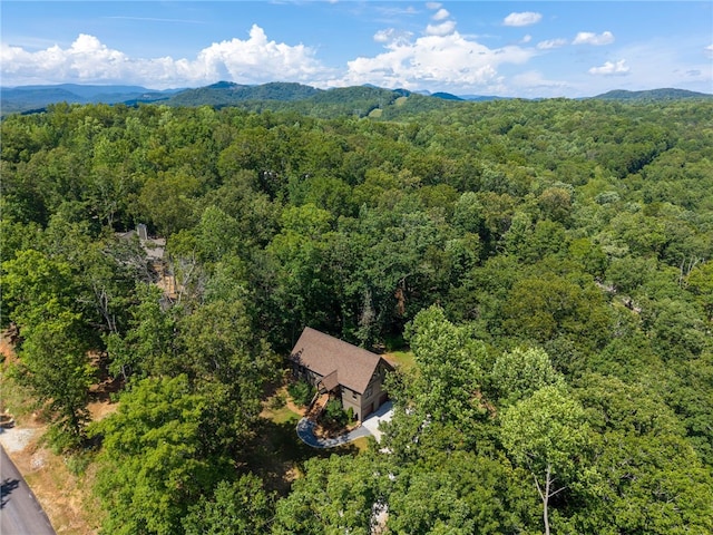 711 Scharlin Dr, Pickens, SC 29671 - photo 37