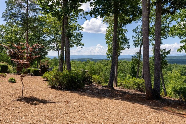 711 Scharlin Dr, Pickens, SC 29671 - photo 34