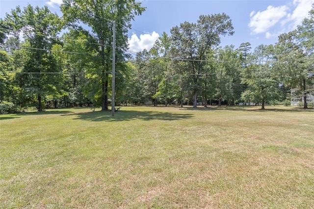 709 Brown Ave, Belton, SC 29627 - photo 29