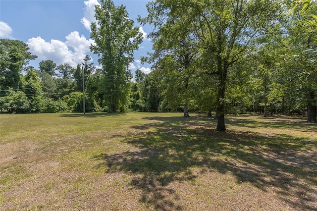 709 Brown Ave, Belton, SC 29627 - photo 33