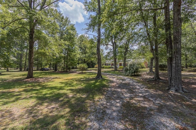 709 Brown Ave, Belton, SC 29627 - photo 36