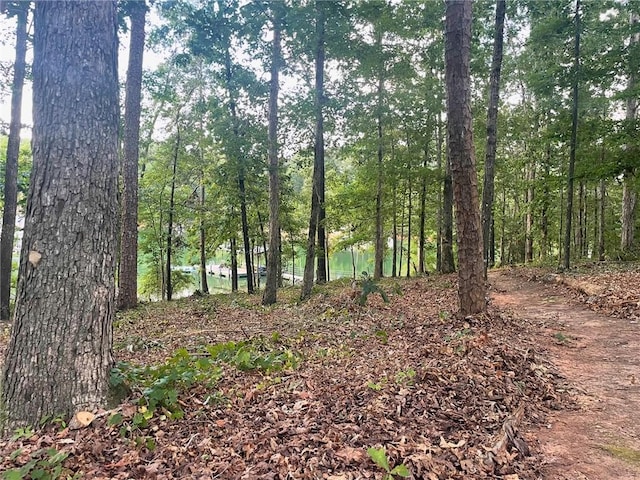 1115 Hawk Harbor Dr, Anderson, SC 29625 - photo 16