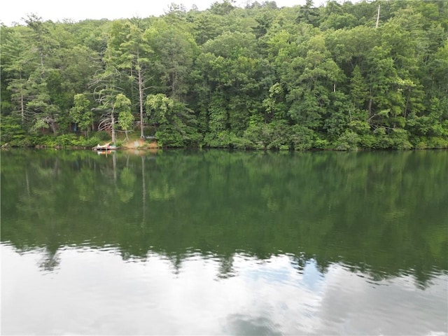 215 Nature Ln, Mountain Rest, SC 29664 - photo 35