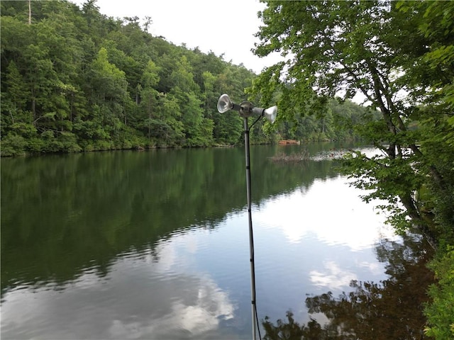 215 Nature Ln, Mountain Rest, SC 29664 - photo 36
