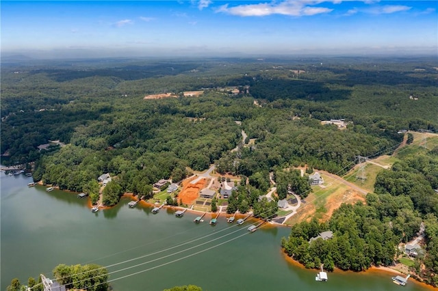 240 E Waters Edge Ln, West Union, SC 29696 - photo 15