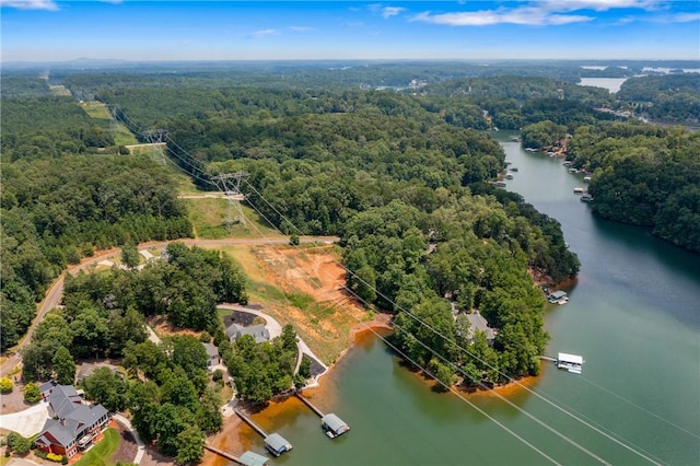 240 E Waters Edge Ln, West Union, SC 29696 - photo 17
