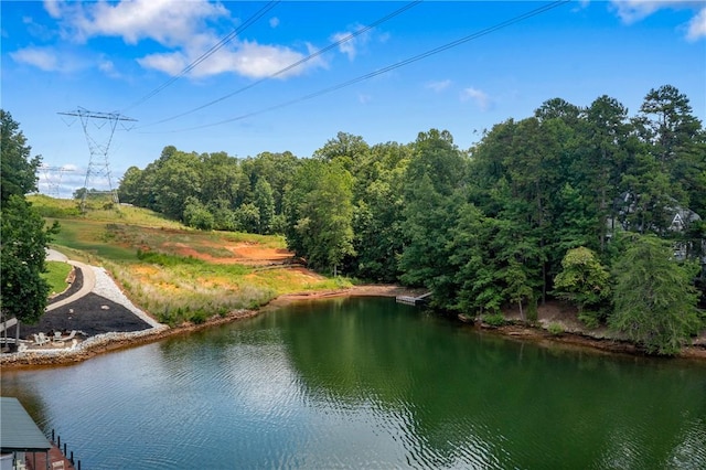 240 E Waters Edge Ln, West Union, SC 29696 - photo 18