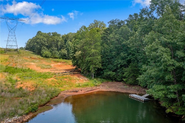 240 E Waters Edge Ln, West Union, SC 29696 - photo 19
