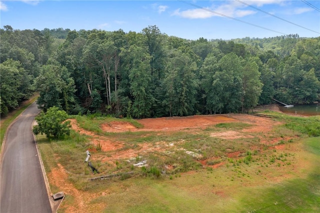 240 E Waters Edge Ln, West Union, SC 29696 - photo 7