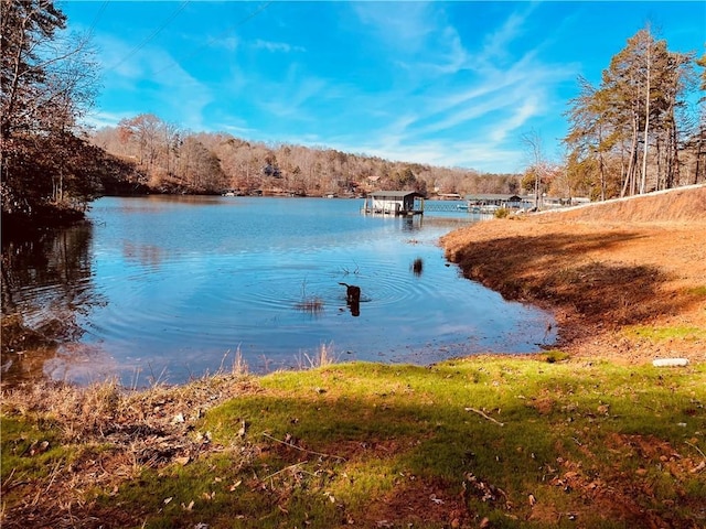 240 E Waters Edge Ln, West Union, SC 29696 - photo 21