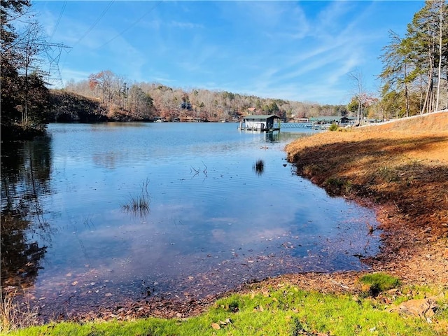 240 E Waters Edge Ln, West Union, SC 29696 - photo 22