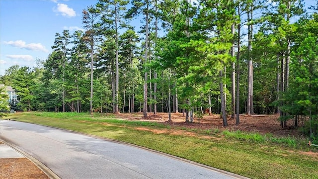532 Great Oak Way, Seneca, SC 29672 - photo 3