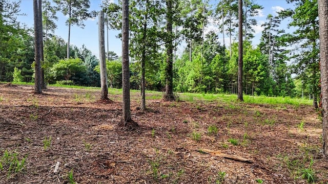 532 Great Oak Way, Seneca, SC 29672 - photo 4