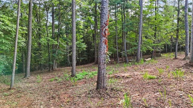 532 Great Oak Way, Seneca, SC 29672 - photo 5