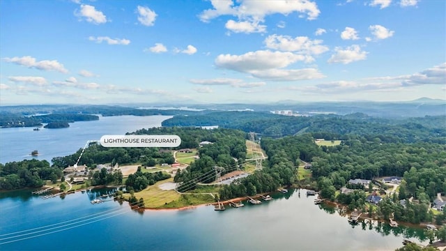 532 Great Oak Way, Seneca, SC 29672 - photo 9