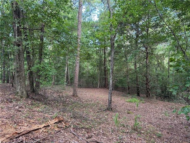 532 Great Oak Way, Seneca, SC 29672 - photo 13