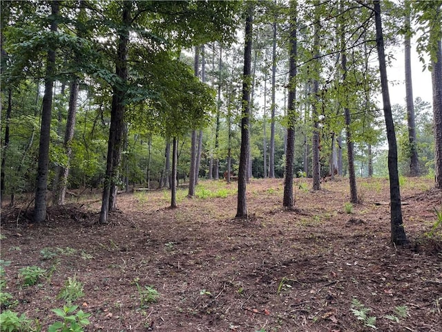 532 Great Oak Way, Seneca, SC 29672 - photo 14