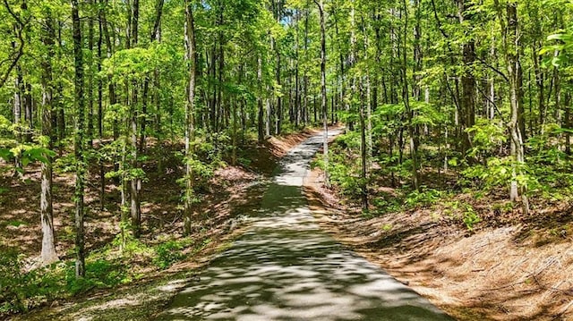 LOT216 Highridge Dr, Seneca, SC 29672 - photo 4
