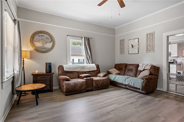 301 G St, Anderson, SC 29625 - photo 3