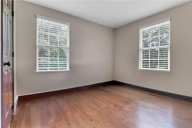 207 Ramsey Rd, Anderson, SC 29621 - photo 21