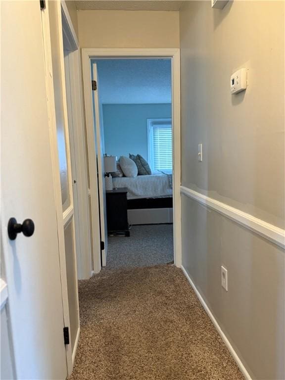 1037 Moorehead Pl, Pendleton, SC 29670 - photo 24