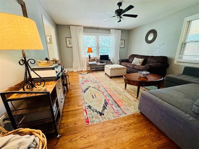121 Woodland Way, Abbeville, SC 29620 - photo 4