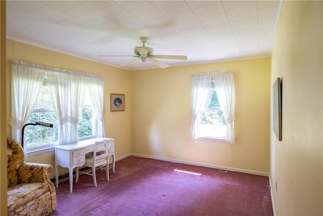 925 Robinhood Dr, Walhalla, SC 29691 - photo 14