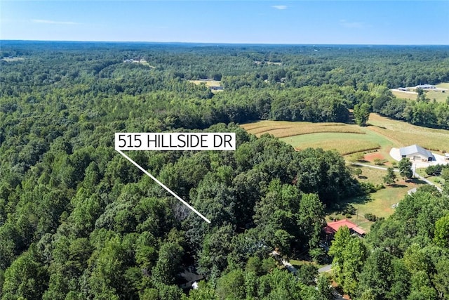 515 Hillside Dr, Walhalla, SC 29691 - photo 46