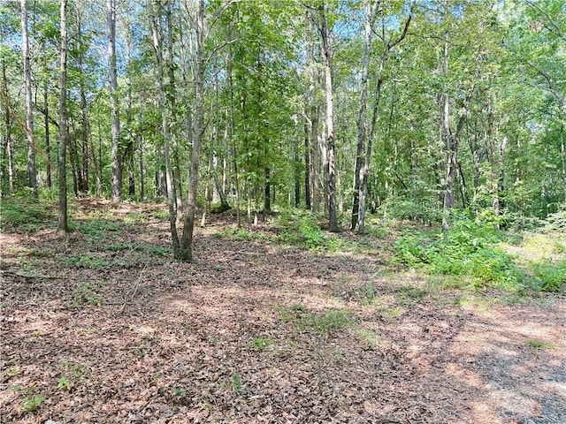 00 Madison Shores Dr, Westminster, SC 29693 - photo 4