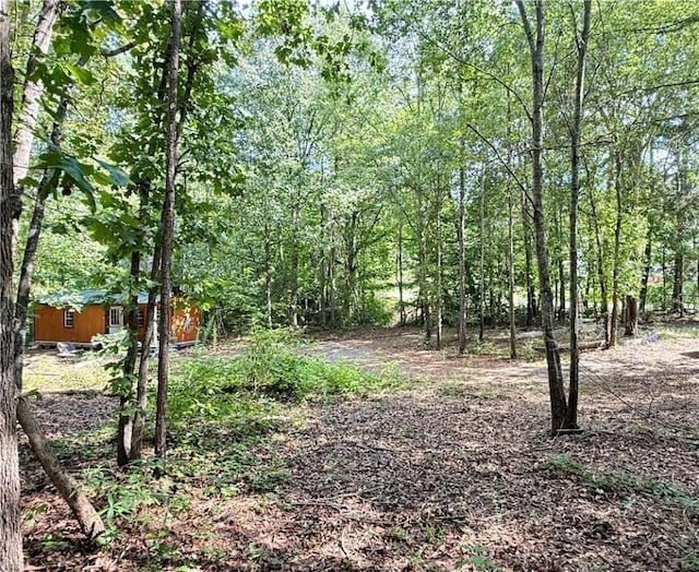00 Madison Shores Dr, Westminster, SC 29693 - photo 6