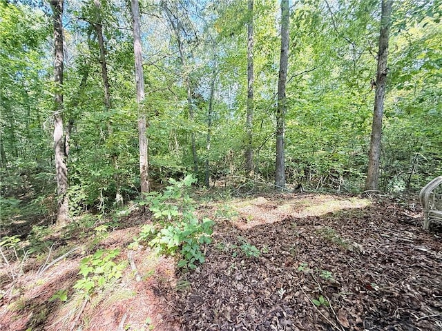 00 Madison Shores Dr, Westminster, SC 29693 - photo 10