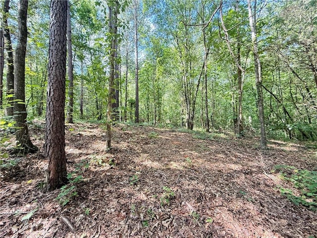 00 Madison Shores Dr, Westminster, SC 29693 - photo 12