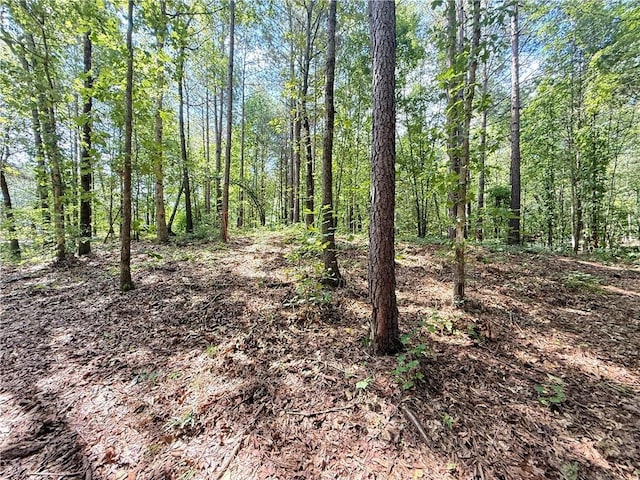 00 Madison Shores Dr, Westminster, SC 29693 - photo 13