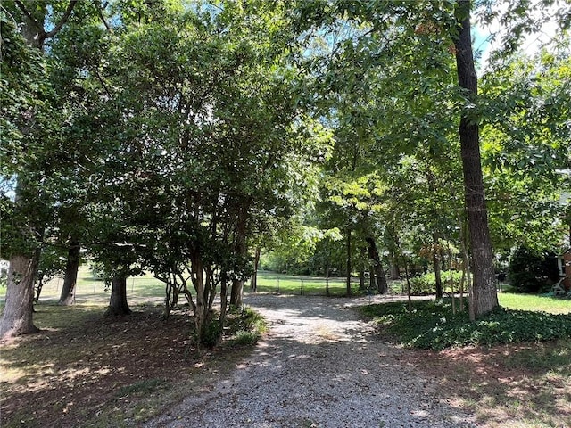 101 Robinall Dr, Easley, SC 29642 - photo 40